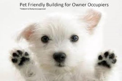 Photo of property in 2 Puna Street, Orakei, Auckland, 1071