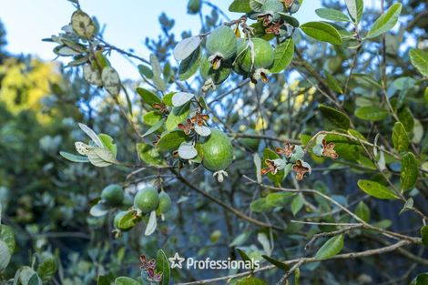 Photo of property in 45 Gillespies Road, Birchville, Upper Hutt, 5018