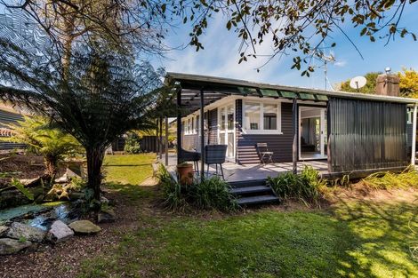 Photo of property in 110 Reservoir Street, Putaruru, 3411