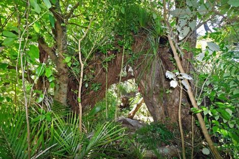 Photo of property in 27 Boulder Bay Drive, Tuateawa, Coromandel, 3583