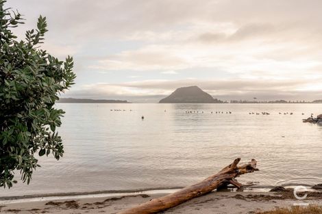 Photo of property in 81b Kulim Avenue, Otumoetai, Tauranga, 3110