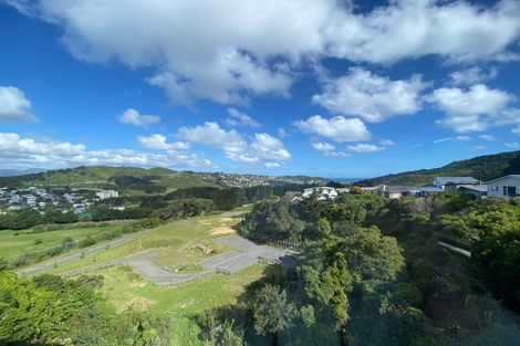 Photo of property in 37 Priscilla Crescent, Kingston, Wellington, 6021