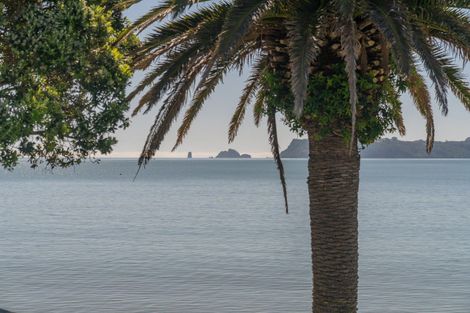 Photo of property in 115 Buffalo Beach Sh25 Road, Whitianga, 3510