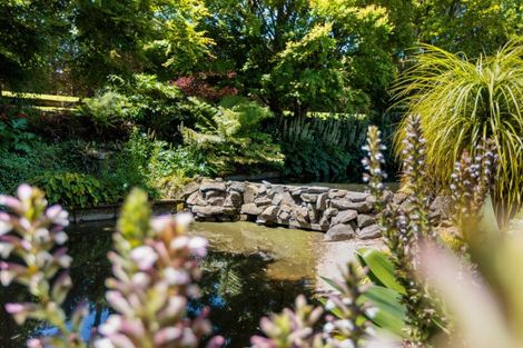 Photo of property in 3 Kelston Way, Tauriko, Tauranga, 3110