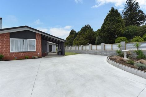 Photo of property in 93 Reservoir Street, Putaruru, 3411