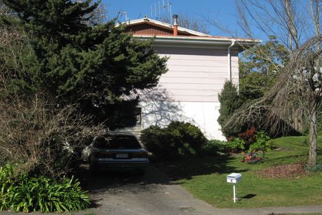 Photo of property in 4 Watkins Street, Chartwell, Hamilton, 3210