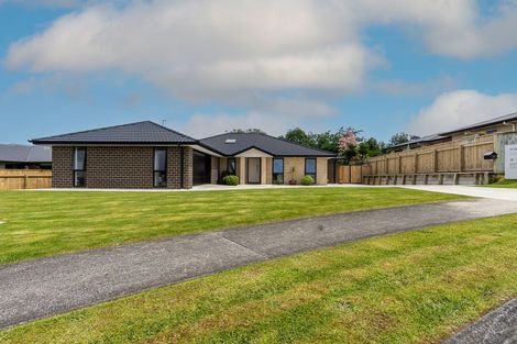 Photo of property in 1 Sudeng Street, Levin, 5510