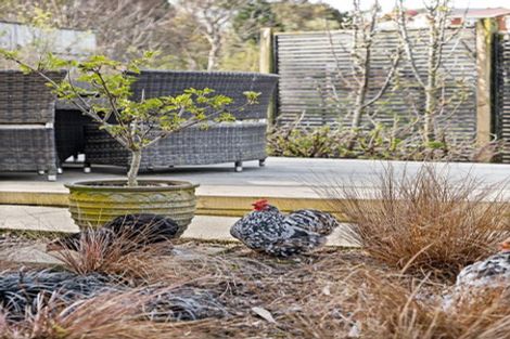 Photo of property in 24 Greenock Street, Kaikorai, Dunedin, 9010