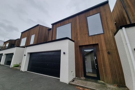 Photo of property in 3/125 Tristram Street, Hamilton Central, Hamilton, 3204