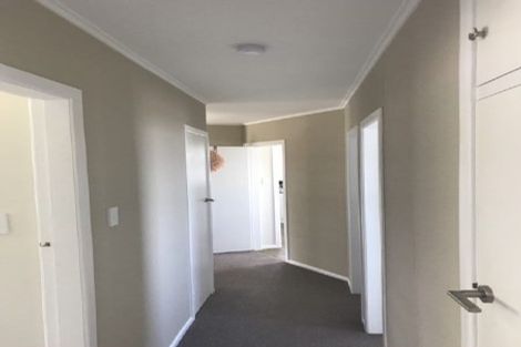 Photo of property in 101 Mahoe Street, Melville, Hamilton, 3206