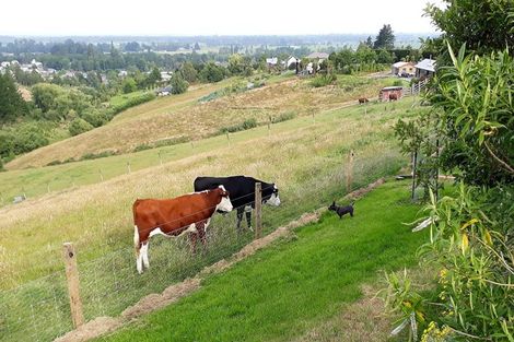 Photo of property in 38 Downs Road, Geraldine, 7991