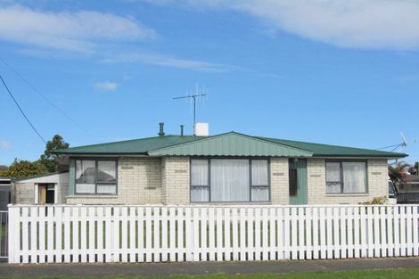 Photo of property in 6 Cornwall Street, Levin, 5510