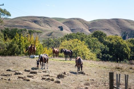 Photo of property in 727 Valley Road, Raukawa, Hastings, 4174