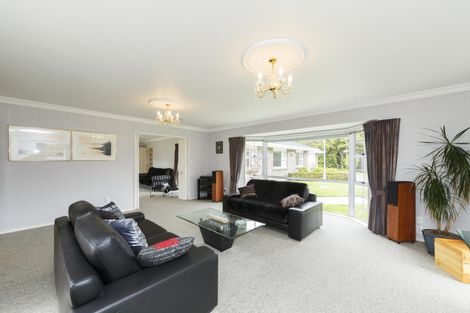 Photo of property in 46 Ruffs Road, Bunnythorpe, Feilding, 4775
