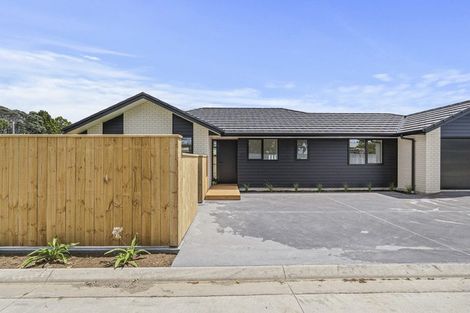 Photo of property in 45a Princess Street, Waitara, 4320