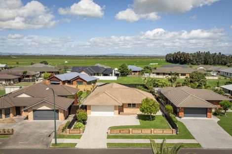 Photo of property in 9 Crawford Drive, Thames, 3500