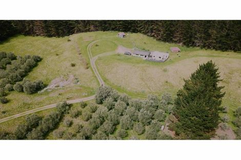 Photo of property in 4560 Pouto Road, Pouto, Te Kopuru, 0391