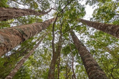 Photo of property in 66 Albany Highway, Greenhithe, Auckland, 0632