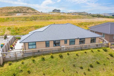 Photo of property in 169 John Burke Drive, Aotea, Porirua, 5024