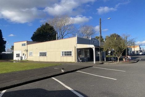 Photo of property in 37 Seddon Street, Raetihi, 4632