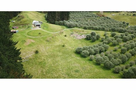 Photo of property in 4560 Pouto Road, Pouto, Te Kopuru, 0391
