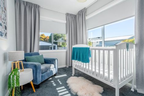 Photo of property in 274 Riverlaw Terrace, Saint Martins, Christchurch, 8022