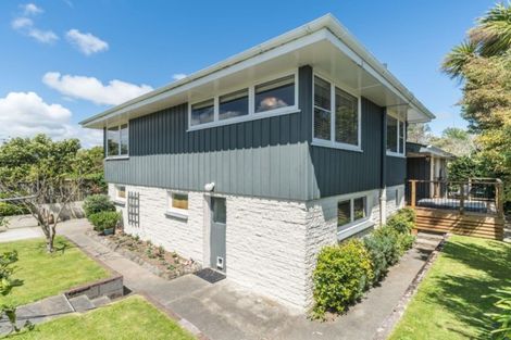 Photo of property in 17 Swansea Street, Hokowhitu, Palmerston North, 4410
