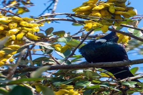 Photo of property in 4 Meri Grove, Turangi, 3334