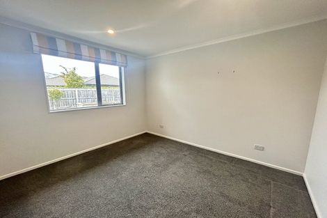 Photo of property in 46 Youngberry Drive, Richmond, 7020