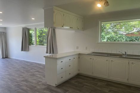 Photo of property in 14 Wake Street, Chartwell, Hamilton, 3210