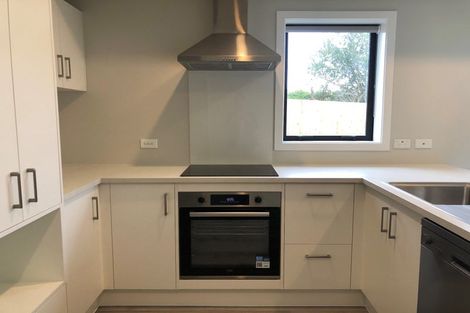 Photo of property in 8 Mcpherson Place, Fairfield, Hamilton, 3214