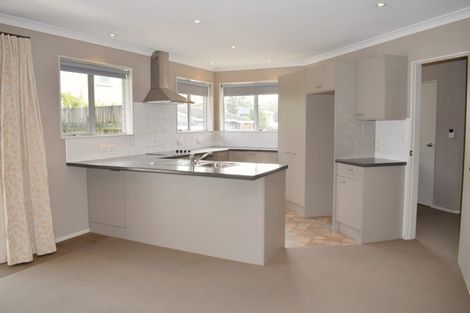 Photo of property in 19a Carey Street, Maeroa, Hamilton, 3200