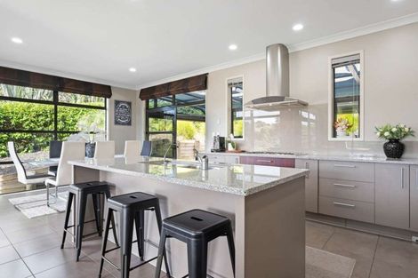 Photo of property in 14 Regis Lane, Flat Bush, Auckland, 2019