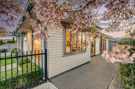 Photo of property in 17 Doppler Place, Wigram, Christchurch, 8042