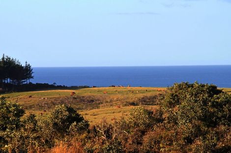 Photo of property in 408 Henderson Bay Road, Houhora, Kaitaia, 0484