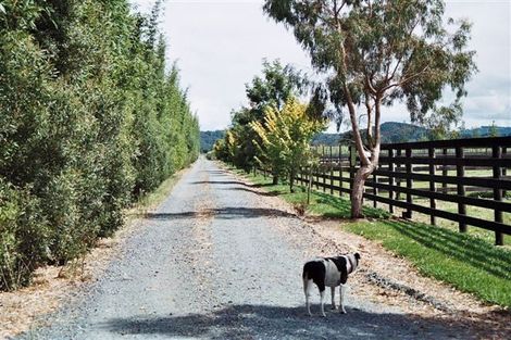 Photo of property in 119 Saint Marys Road, Waipu, 0582