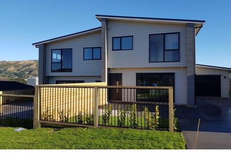 Photo of property in 138a John Burke Drive, Aotea, Porirua, 5024