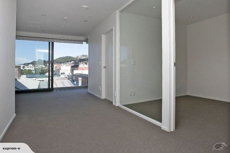 Photo of property in Forte Apartments, 44/13 College Street, Te Aro, Wellington, 6011
