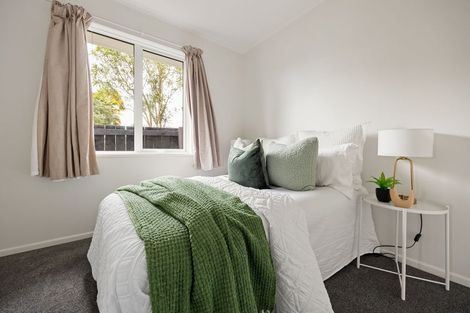 Photo of property in 18a Patrick Place, Fitzroy, Hamilton, 3206