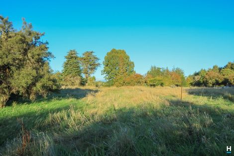 Photo of property in 829 Nelson Creek Road, Hochstetter, Dobson, 7872