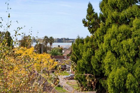 Photo of property in 36 Fourteenth Avenue, Tauranga South, Tauranga, 3112