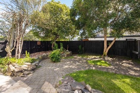 Photo of property in 19 Newcastle Street, Phillipstown, Christchurch, 8011
