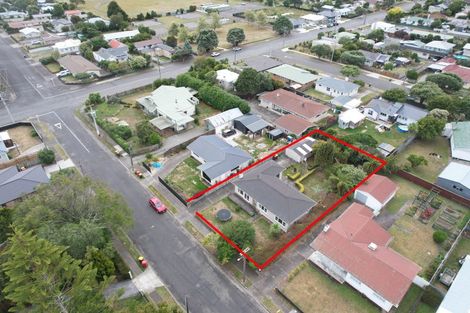 Photo of property in 42 Elizabeth Street, Levin, 5510