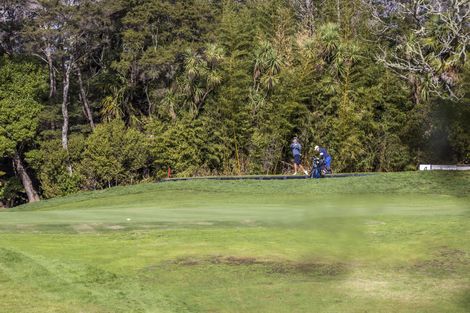 Photo of property in 3/8 Golf Road, New Lynn, Auckland, 0600