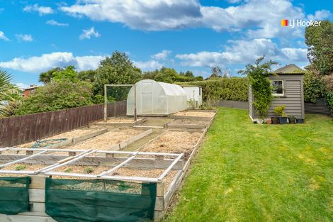 Photo of property in 5 Cuba Street, Calton Hill, Dunedin, 9012