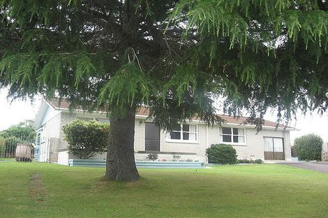 Photo of property in 135 Cameron Road, Te Puke, 3119