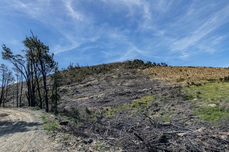 Photo of property in 98 Lewis Road, View Hill, Oxford, 7495