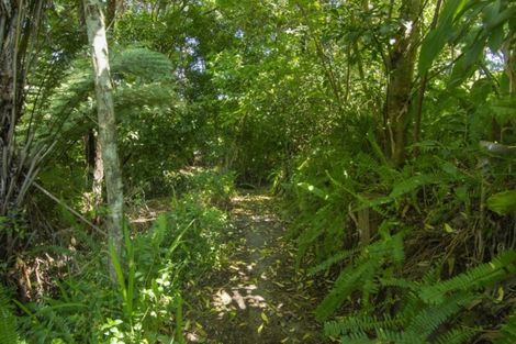 Photo of property in 43 Collingwood Street, Judea, Tauranga, 3110