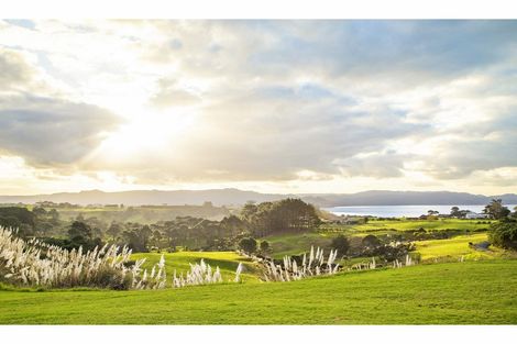 Photo of property in 16 Tearoe Road, Manukau Heads, Waiuku, 2684