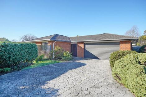 Photo of property in 14 Hewitts Road, Woodend, 7610